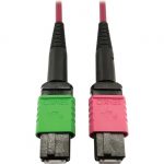 Tripp Lite Multimode Fiber Optic Cable 400G OM4 MTP/MPO-APC to MTP/MPO-UPC F/F 1M