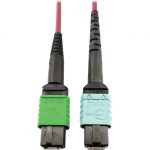 Tripp Lite Multimode Fiber Optic Cable 400G MTP/MPO-APC to 24F MTP/MPO-UPC F/F 1M