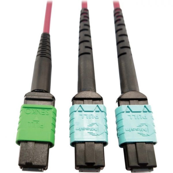 Tripp Lite Multimode Fiber Optic Cable MTP/MPO-APC to x2 12F MTP/MPO-UPC F/F 1M