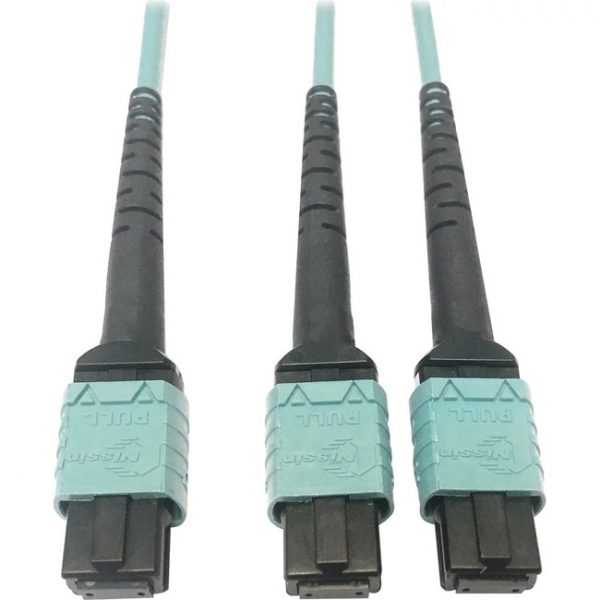 Tripp Lite Multimode Fiber Optic Cable 24F MTP/MPO-PC to x2 12F MTP/MPO-PC F/F 1M