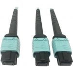 Tripp Lite Multomode Fiber Optic Cable 24F MTP/MPO-PC to x2 12F MTP/MPO-PC F/F 3M