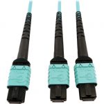 Tripp Lite Multimode Fiber Optic Cable 24F MTP/MPO-PC to x2 12F MTP/MPO-PC F/F 5M