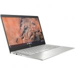 HP Pro c645 14" Chromebook - Full HD - 1920 x 1080 - AMD Ryzen 5 3250C Dual-core (2 Core) 2.60 GHz - 8 GB RAM - 128 GB SSD - Pike Silver Aluminum