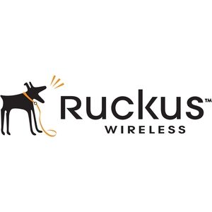 Ruckus Wireless 10GbE Direct Attach SFP+ to SFP+ Active Copper Cable