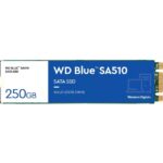 WD Blue SA510 WDS250G3B0B 250 GB Solid State Drive - M.2 2280 Internal - SATA (SATA/600)