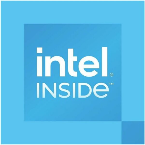 Intel 300 Dual-core (2 Core) 3.90 GHz Processor Upgrade