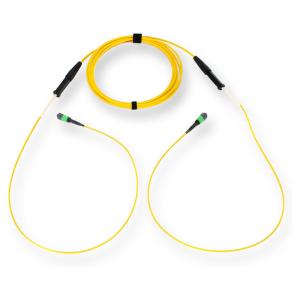 Corning G909012GPNDDU030F 30 ft -0 / +0.61m Fiber Cable
