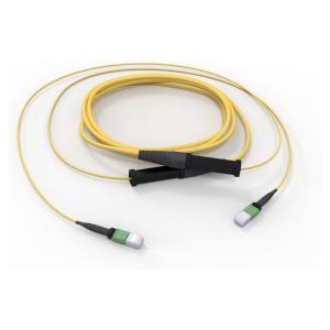 Corning G909012GPNDDU100F 100 ft Fiber Cable