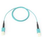 Corning JE6E608QE8-NB010F fiber cable assembly