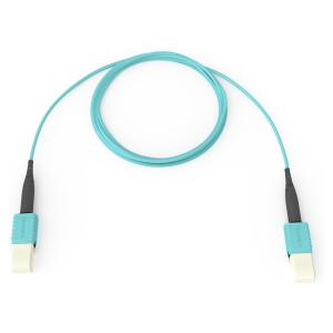Corning JE6E608QE8-NB010F 10 ft Fiber Cable