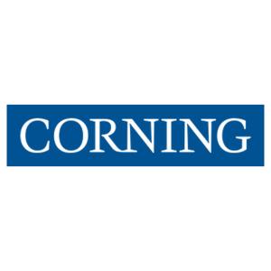 Corning G757512QPNDDU100F 100 ft Fiber Cable