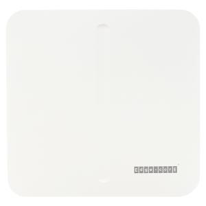 Edge-Core OAP101 (WW) Outdoor Wi-Fi 6 Access Point